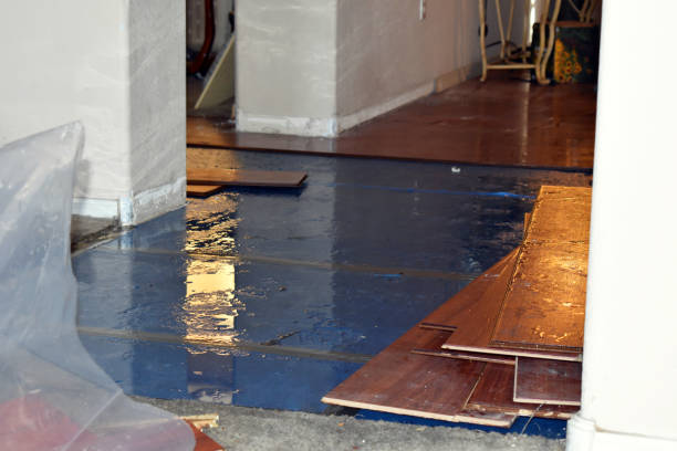 Professional Basement Flood Cleanup technician working in Peekskill, NY